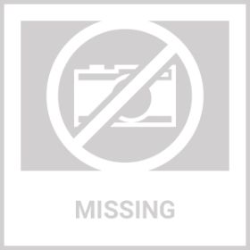 Pet Casino Treasure Hunt Puzzle Food Spill Toy (Option: Blue)